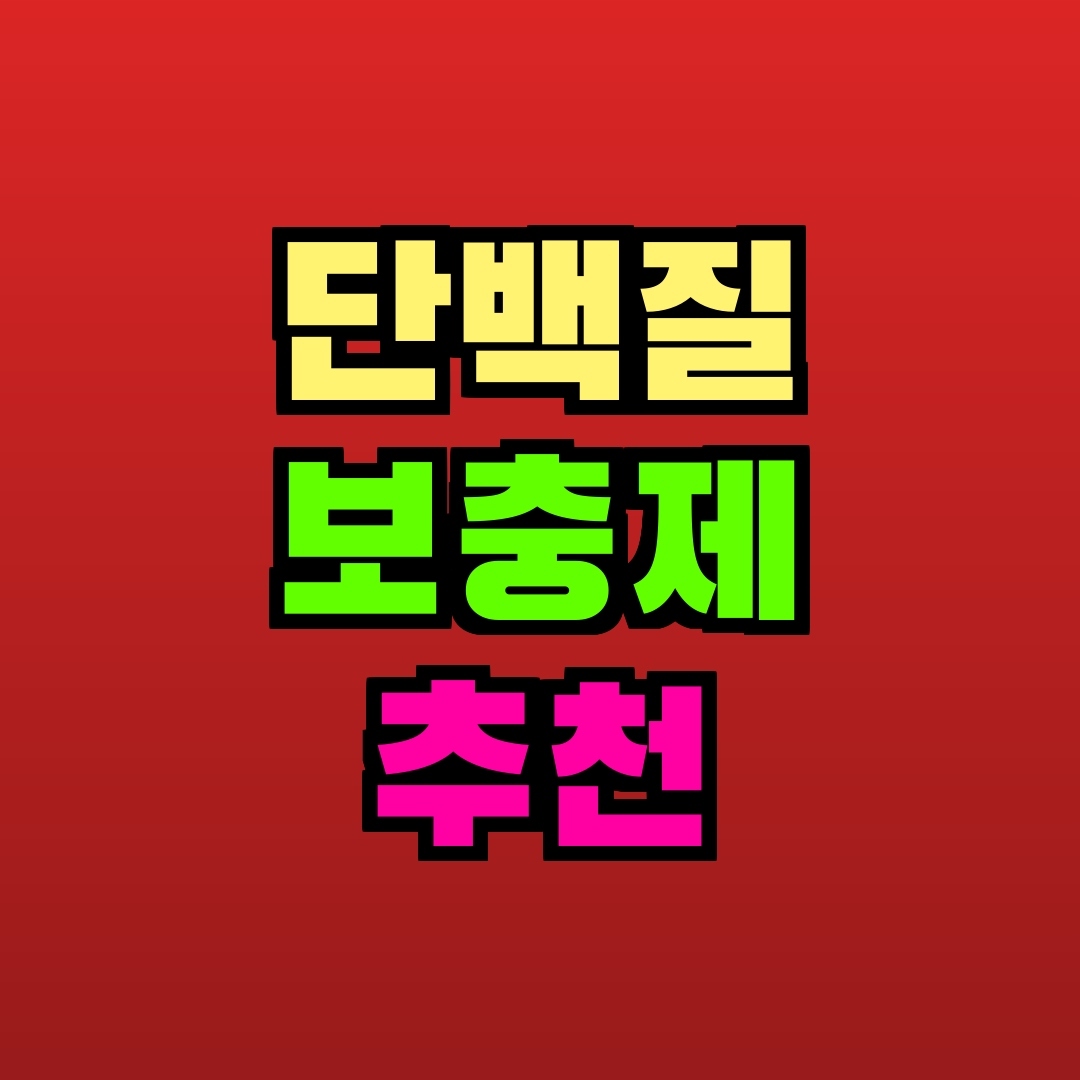 단백질 보충제 추천 추천