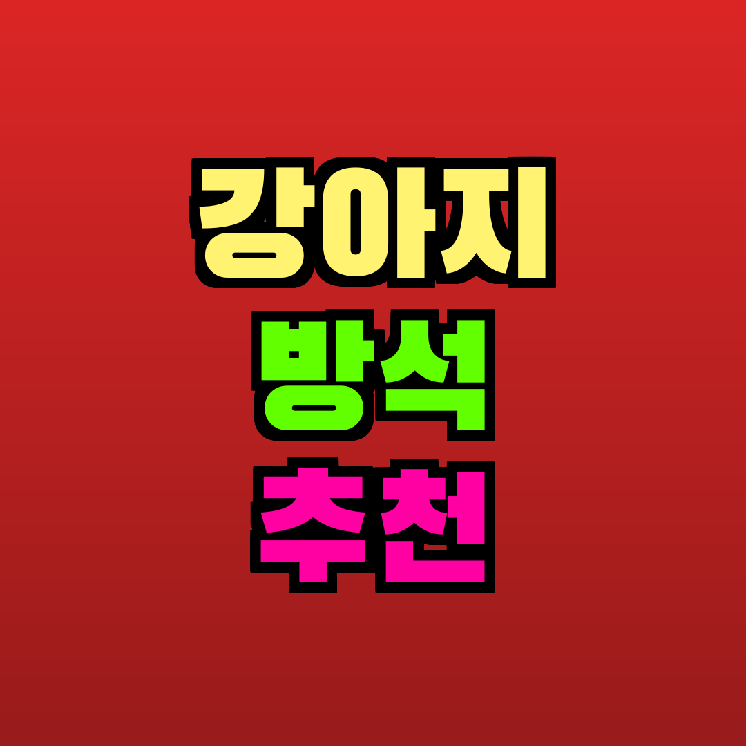 강아지 방석 추천 추천
