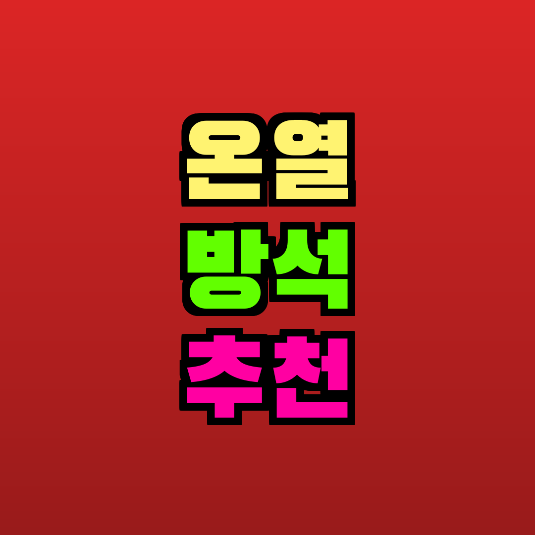 온열 방석 추천 추천
