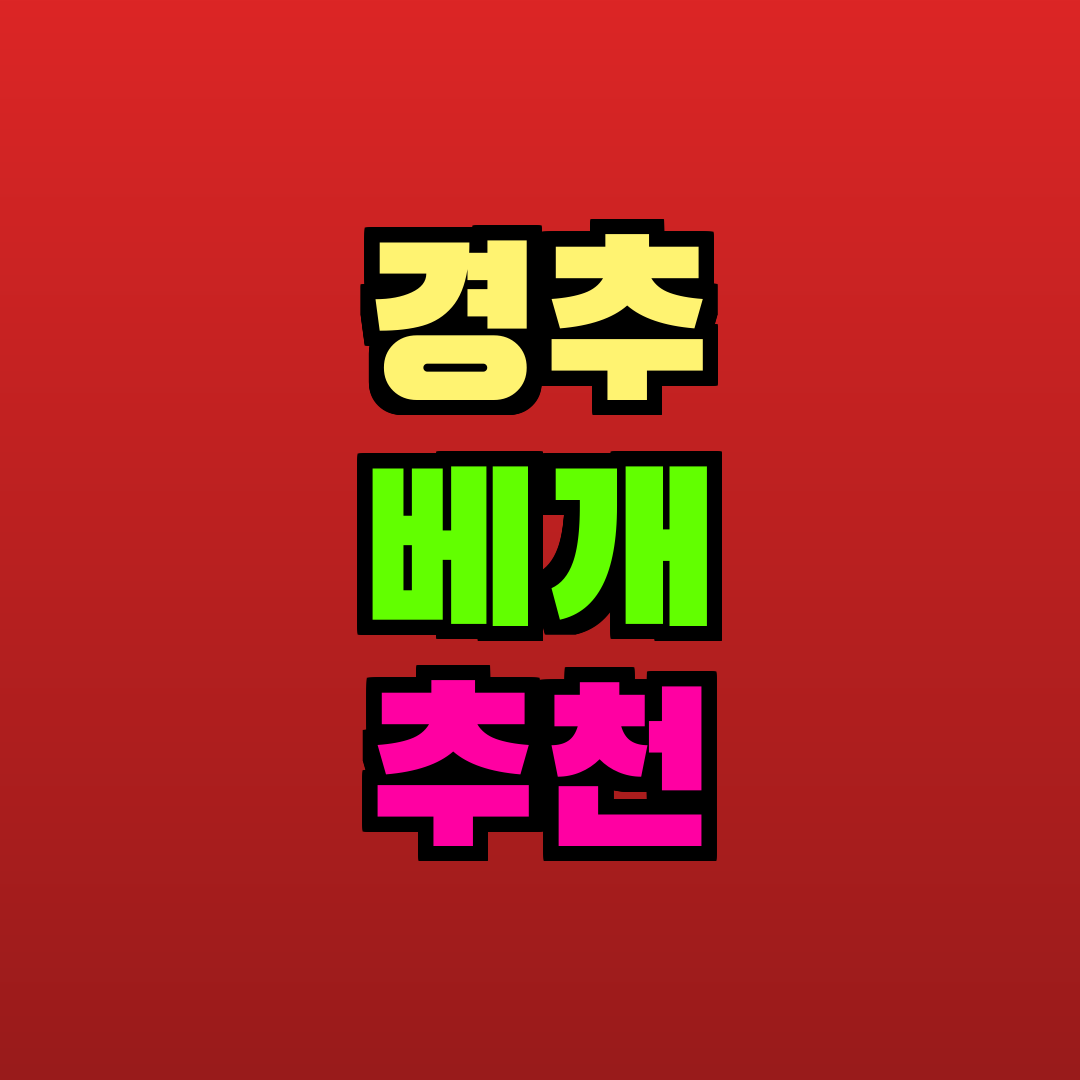 경추 베개 추천 추천