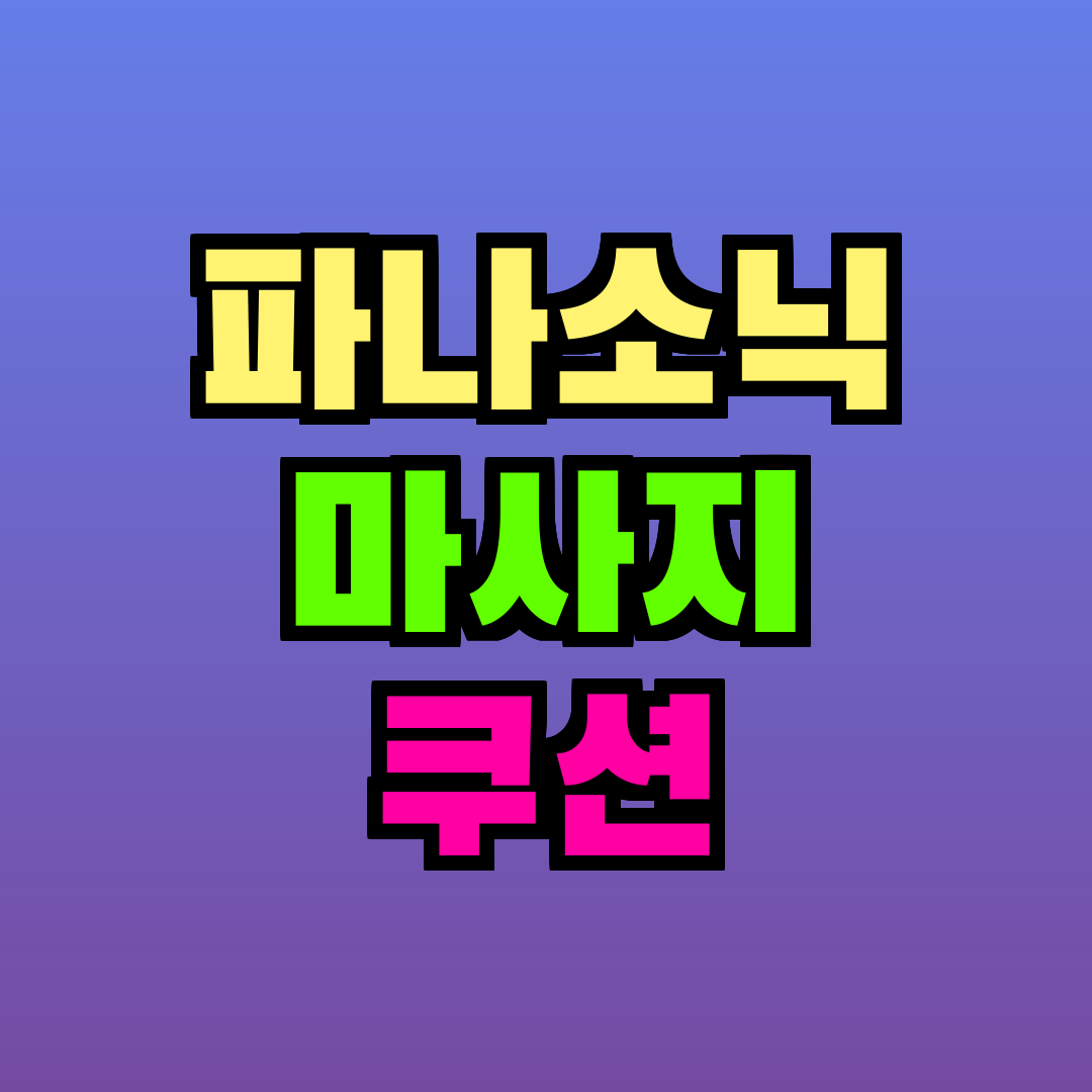 파나소닉 마사지 쿠션