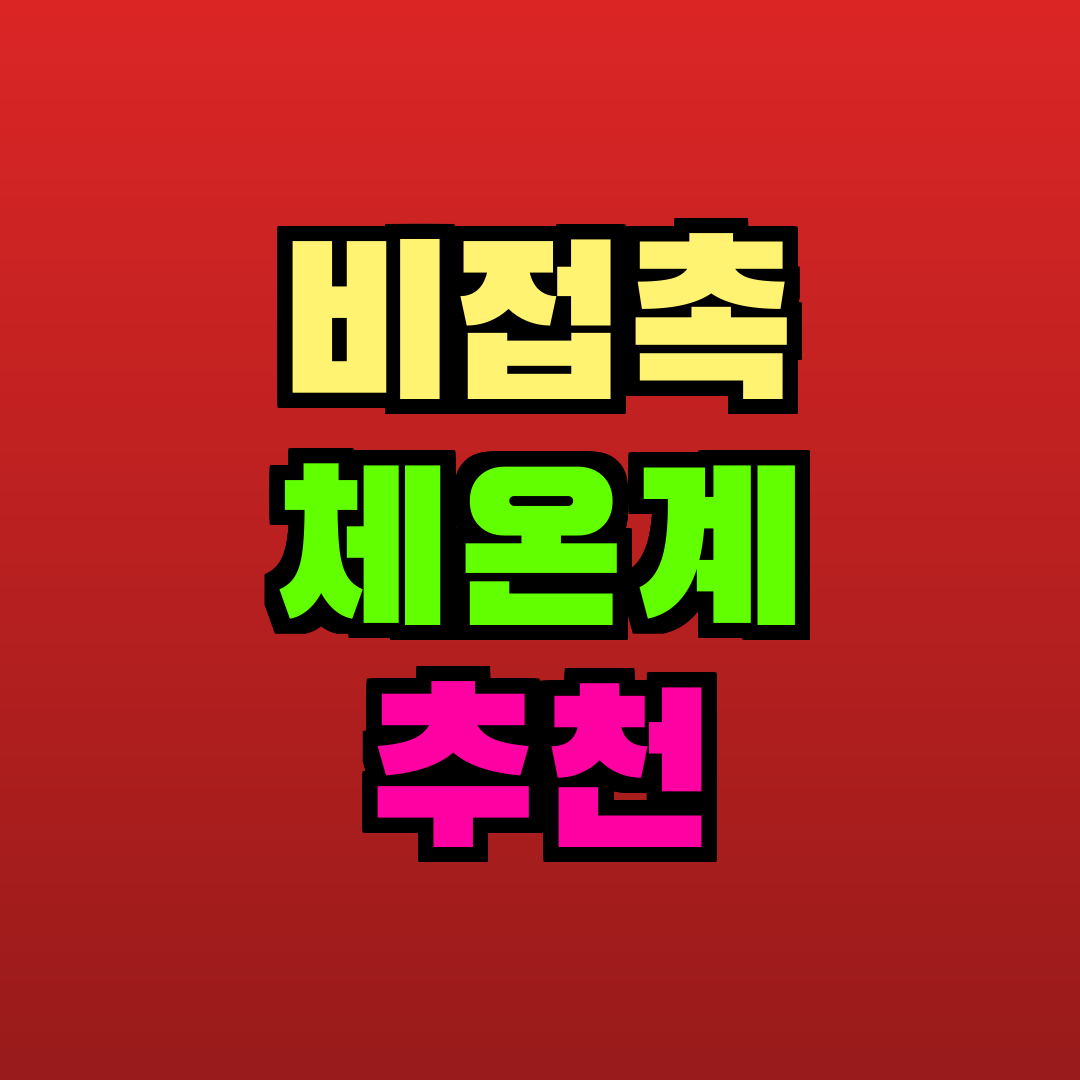 비접촉 체온계 추천 추천