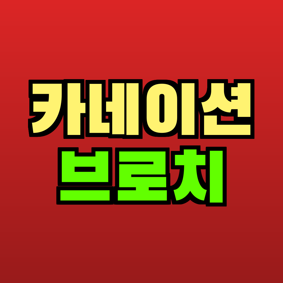 카네이션 브로치 추천