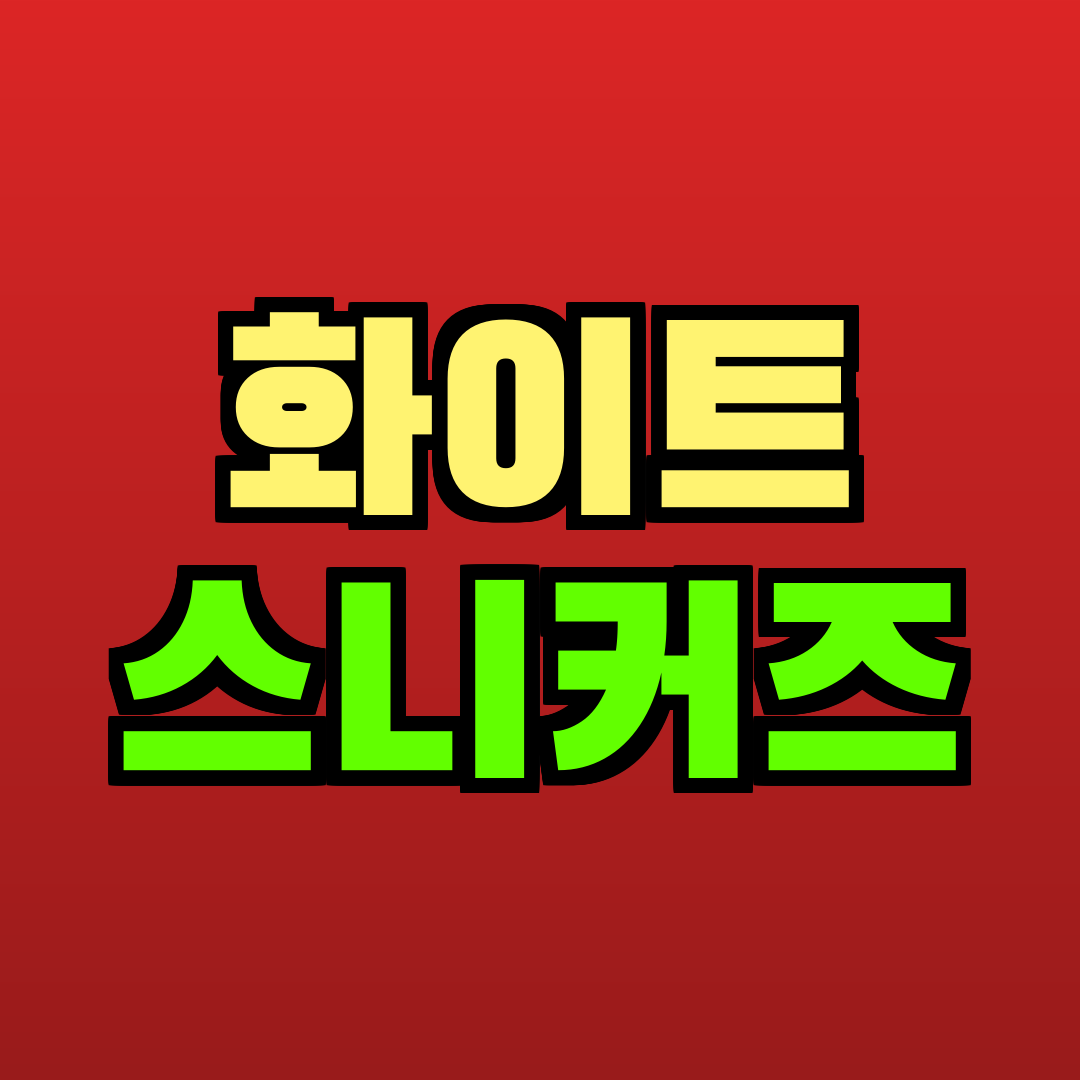 화이트 스니커즈 추천