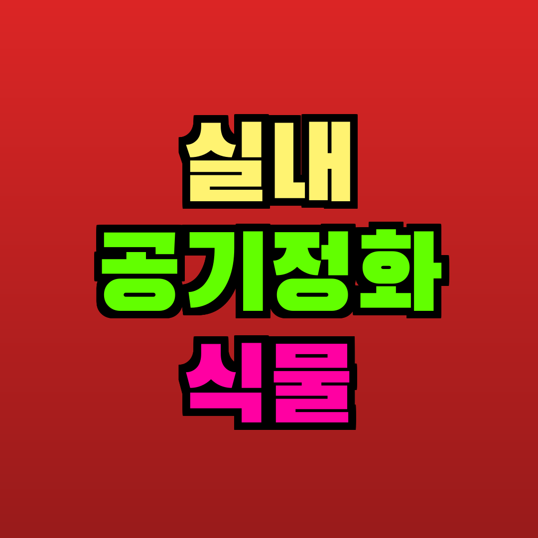 실내 공기정화 식물 추천