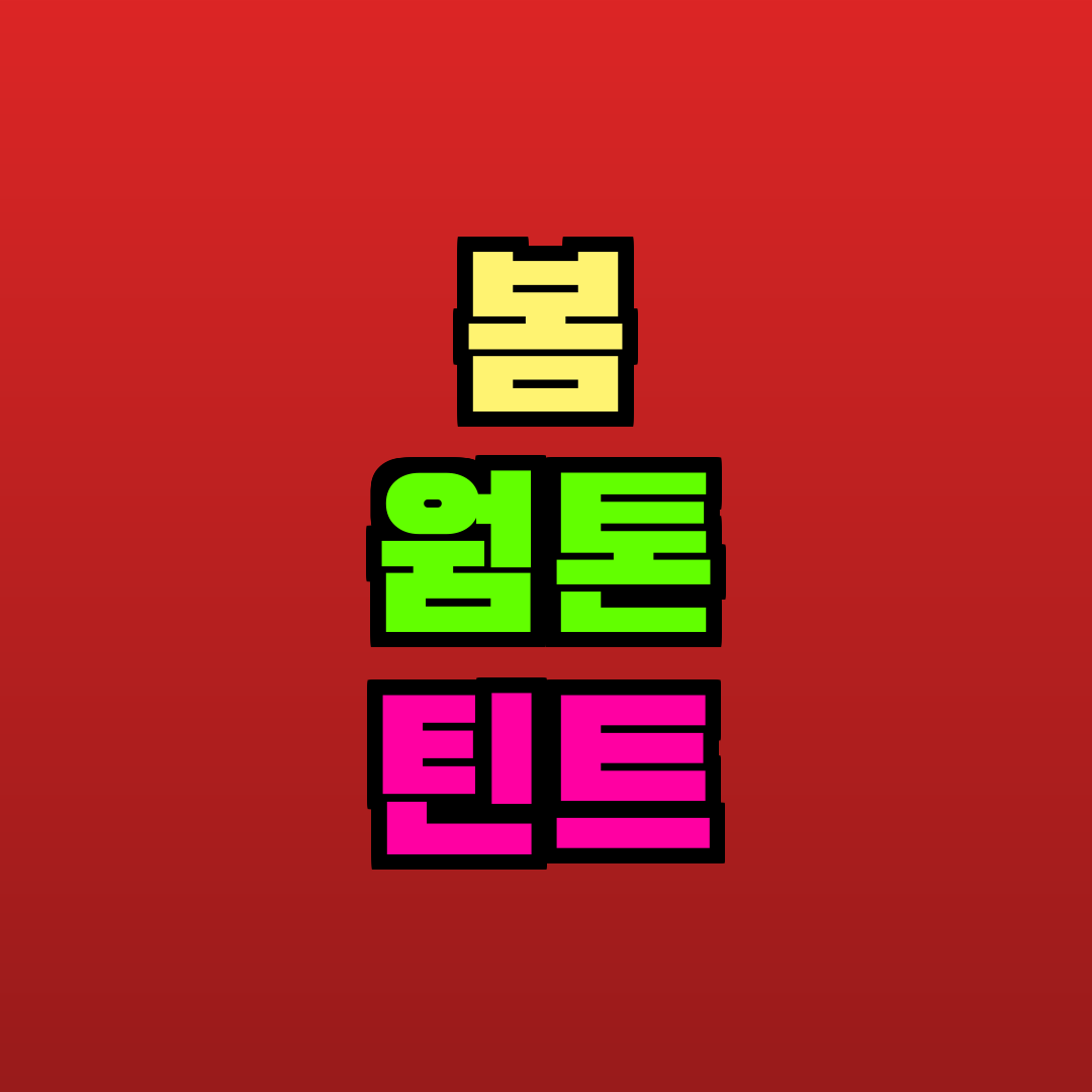 봄 웜톤 틴트 추천