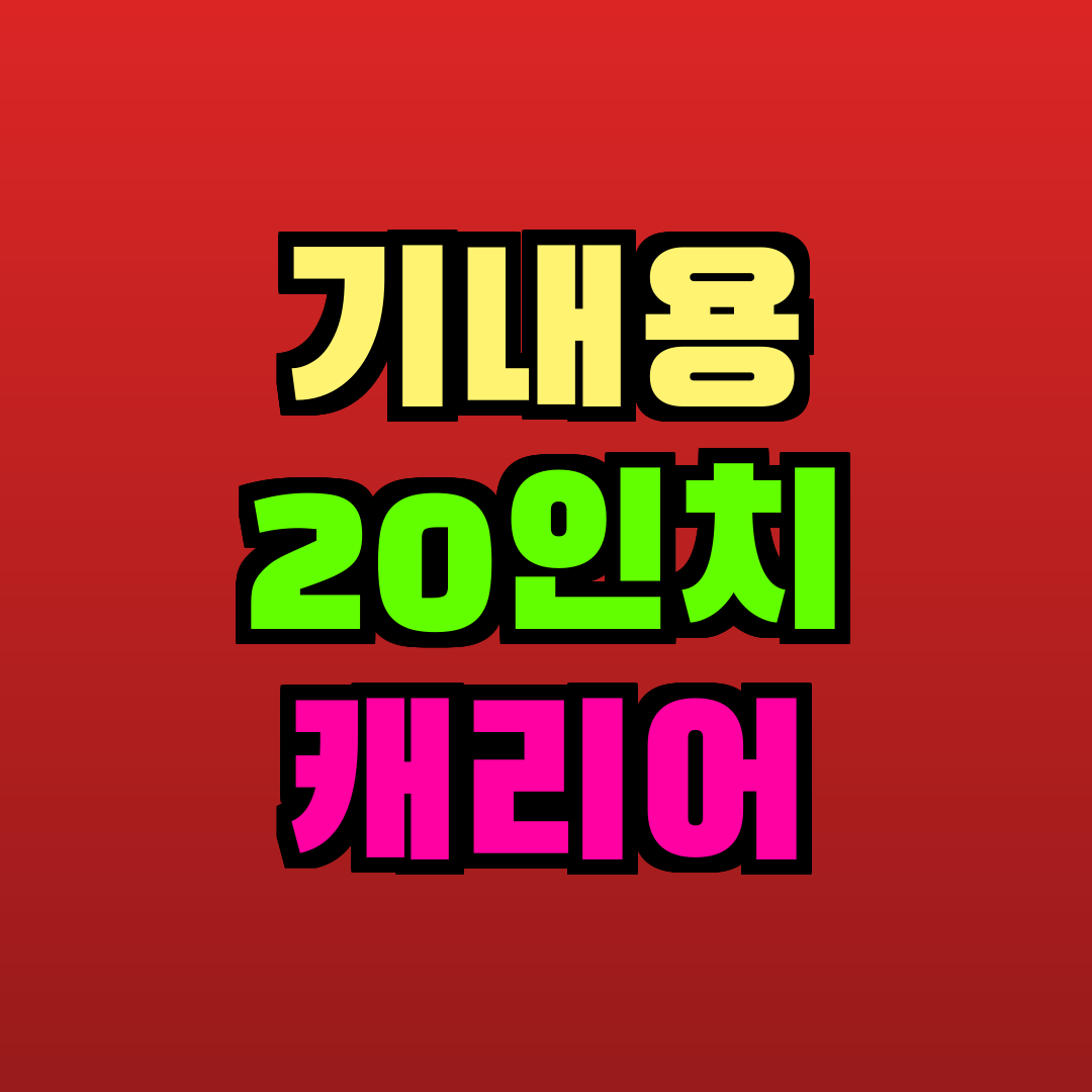 기내용 20인치 캐리어 추천