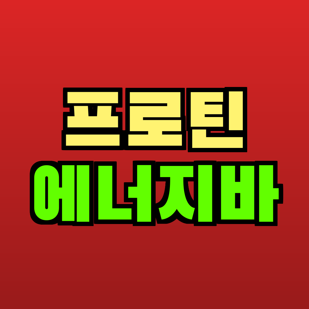 프로틴 에너지바 추천