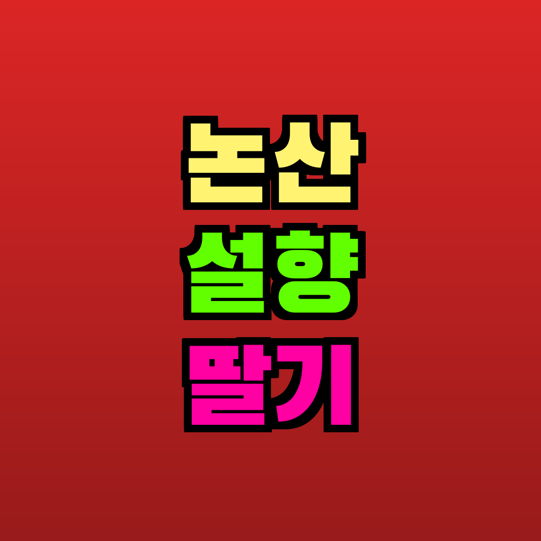 논산 설향 딸기 추천