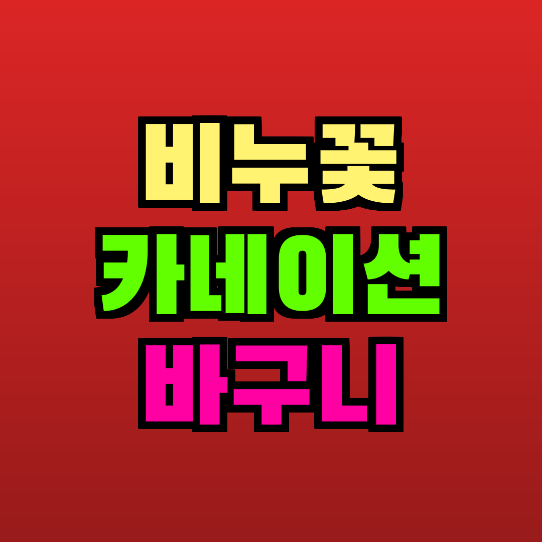 비누꽃 카네이션 바구니 추천