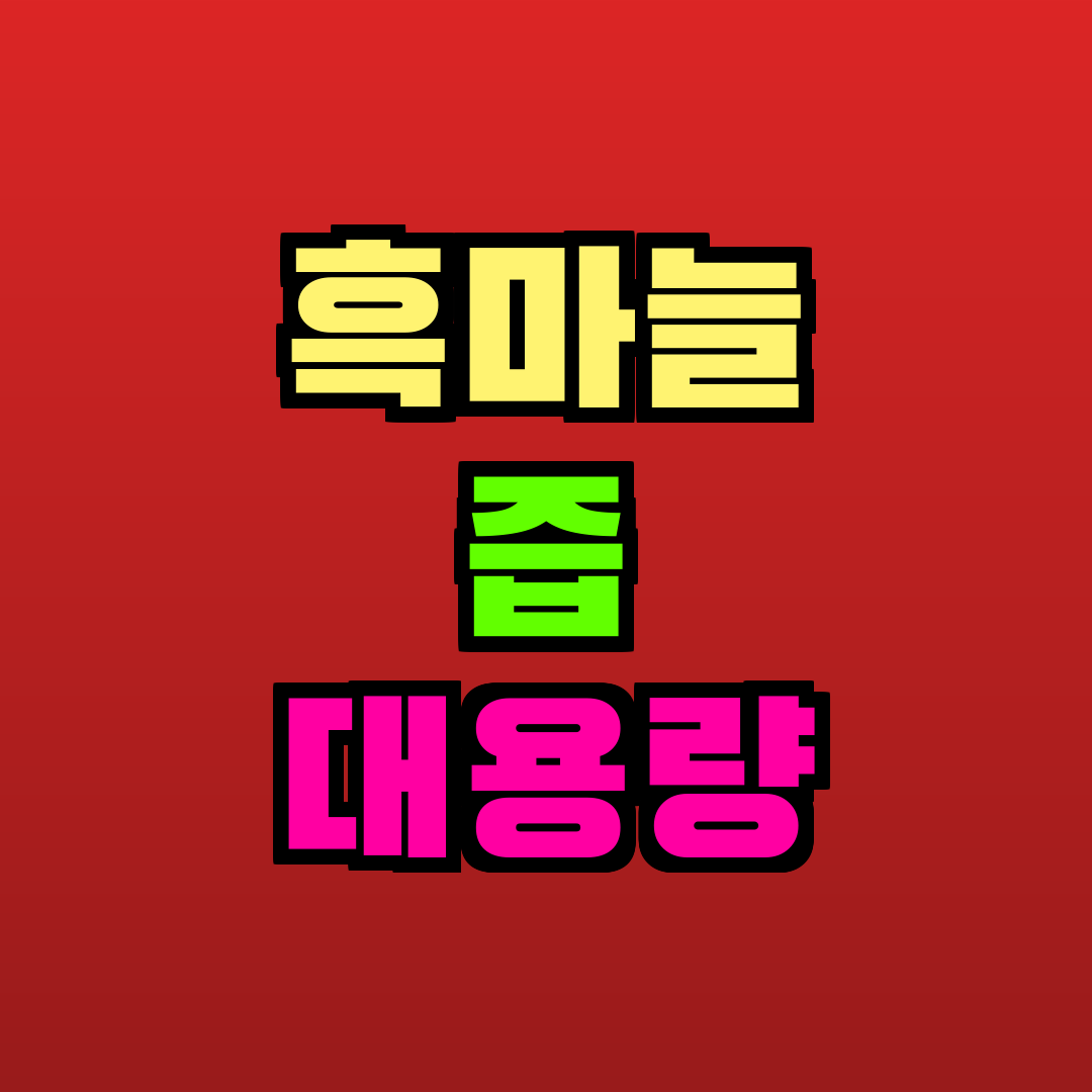 흑마늘 즙 대용량 추천