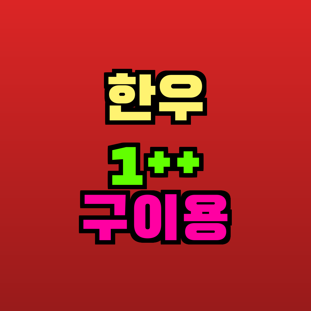 한우 1++ 구이용 추천