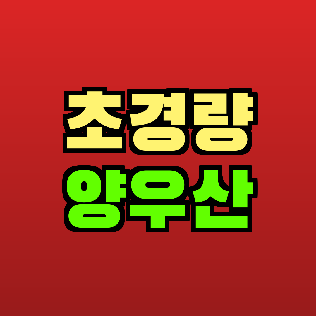 초경량 양우산 추천