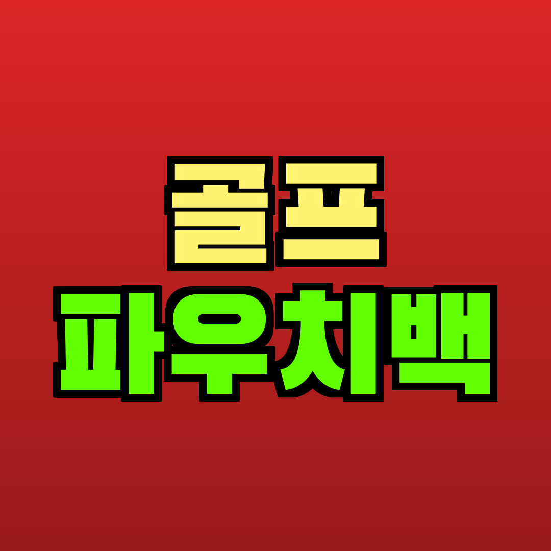 골프 파우치백 추천