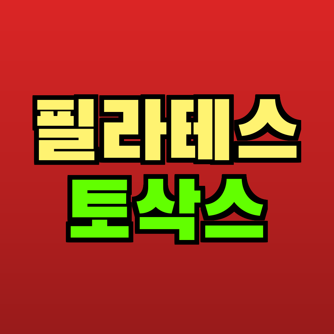 필라테스 토삭스 추천