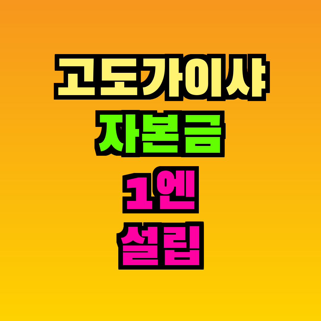 고도가이샤 자본금 1엔 설립