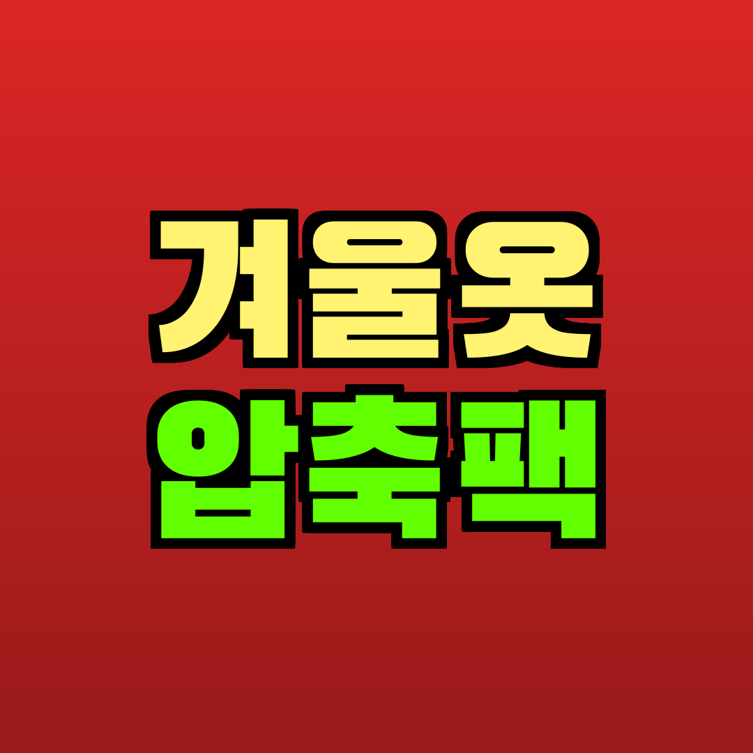 겨울옷 압축팩 추천