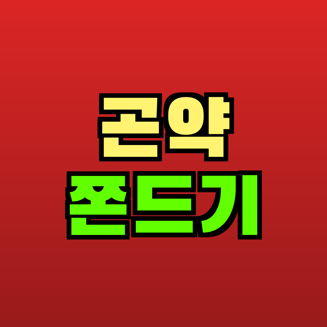 곤약 쫀드기 추천