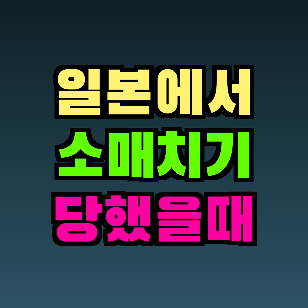일본에서 소매치기 당했을때