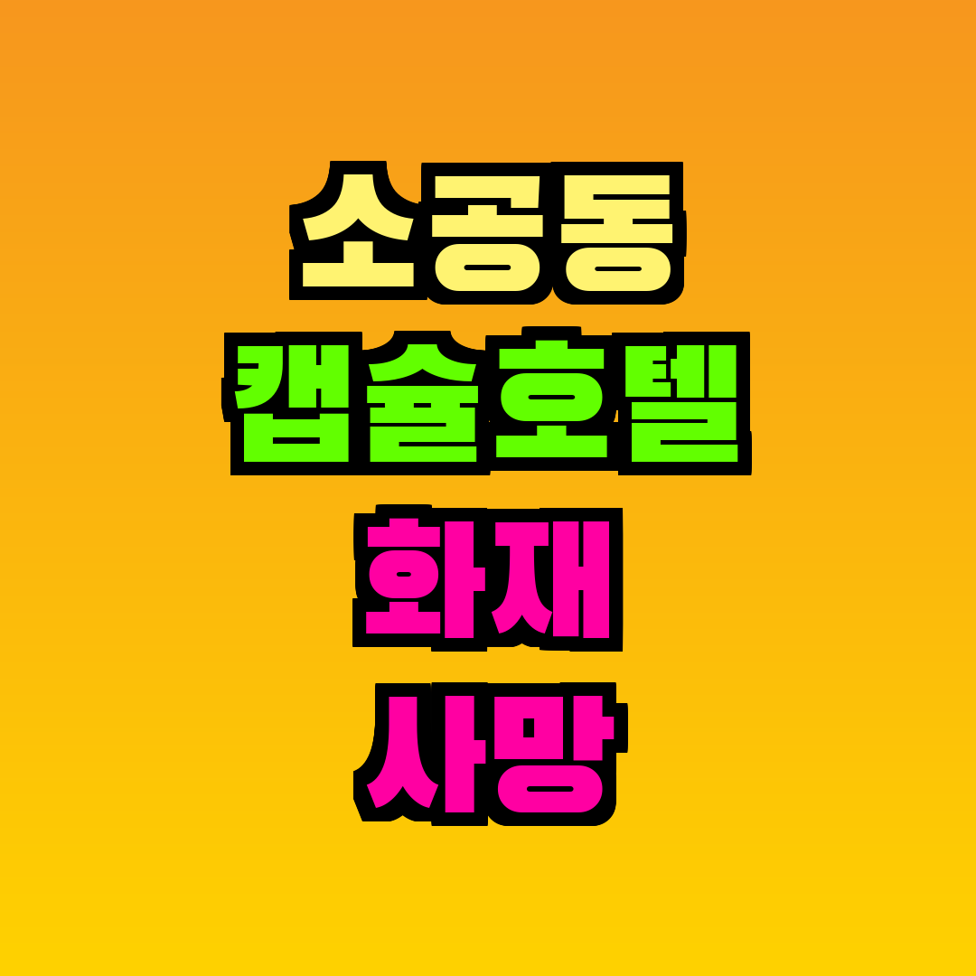 소공동 캡슐호텔 화재 사망 일본인 여성