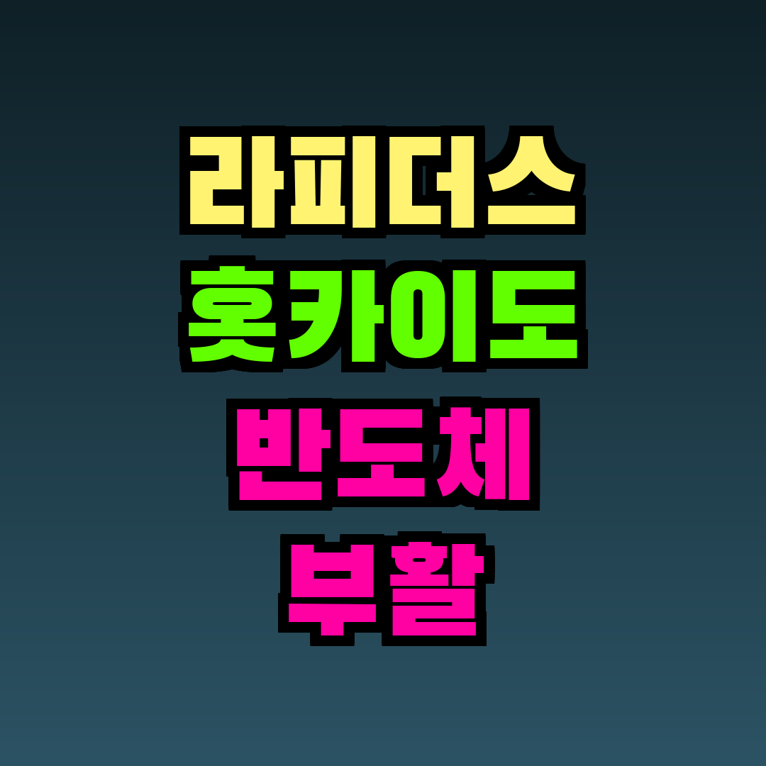 라피더스 홋카이도 반도체 부활
