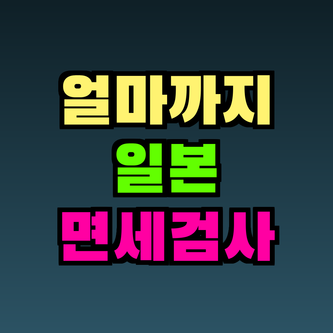 얼마까지 일본 면세검사