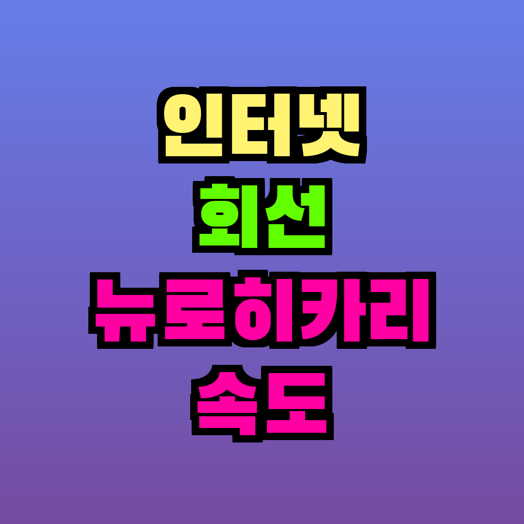 인터넷 회선 뉴로히카리 속도