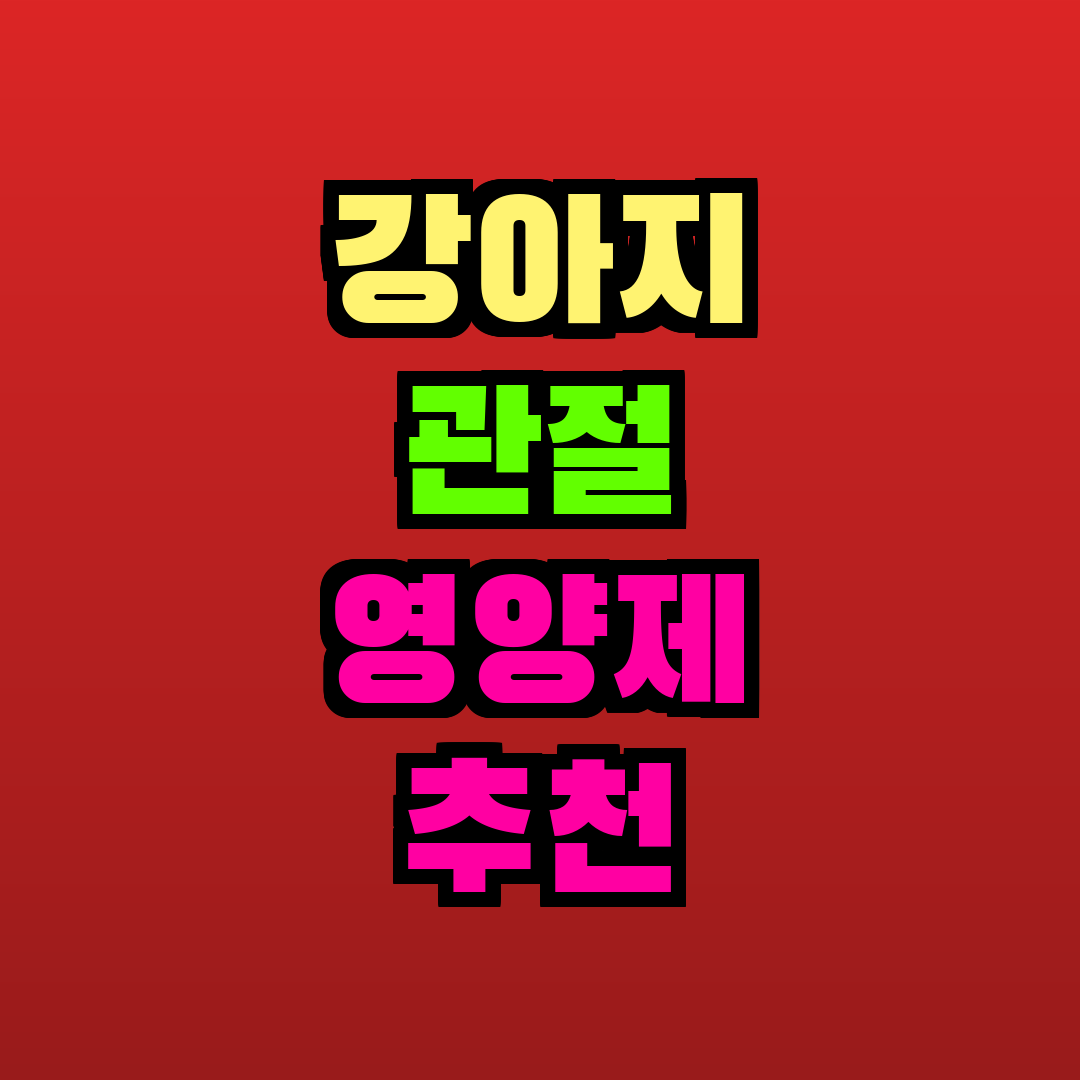 강아지 관절 영양제 추천 추천