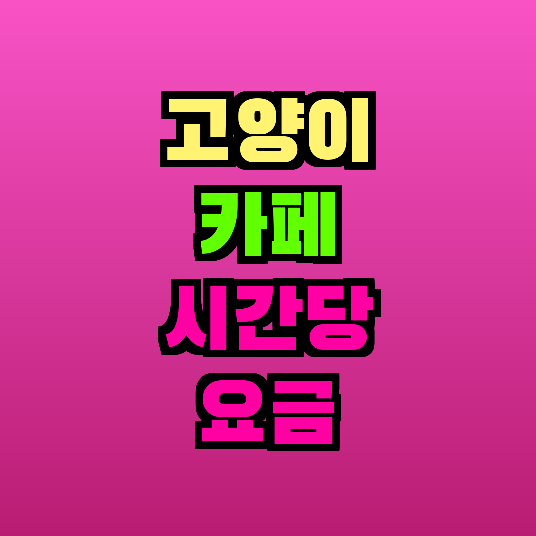 고양이 카페 시간당 요금