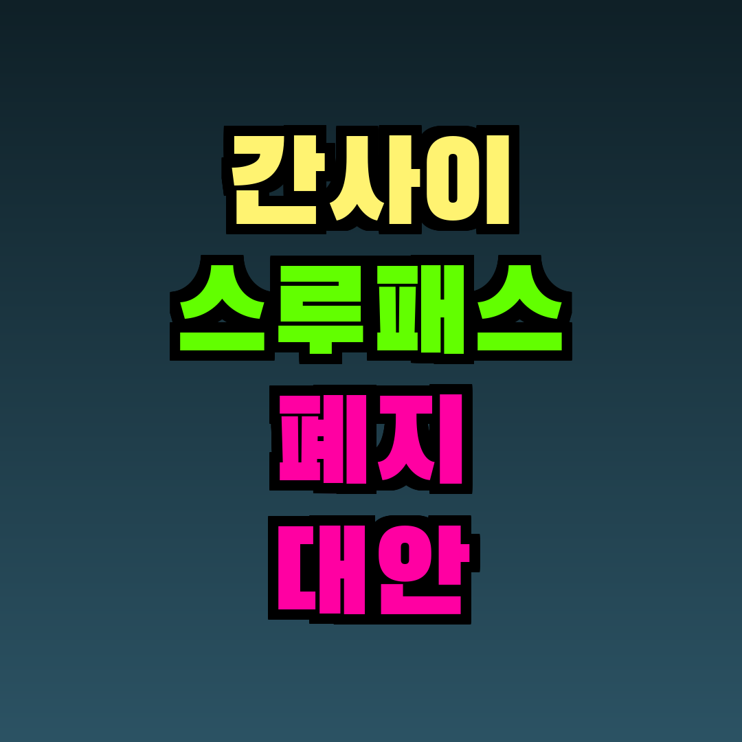 간사이 스루패스 폐지 대안