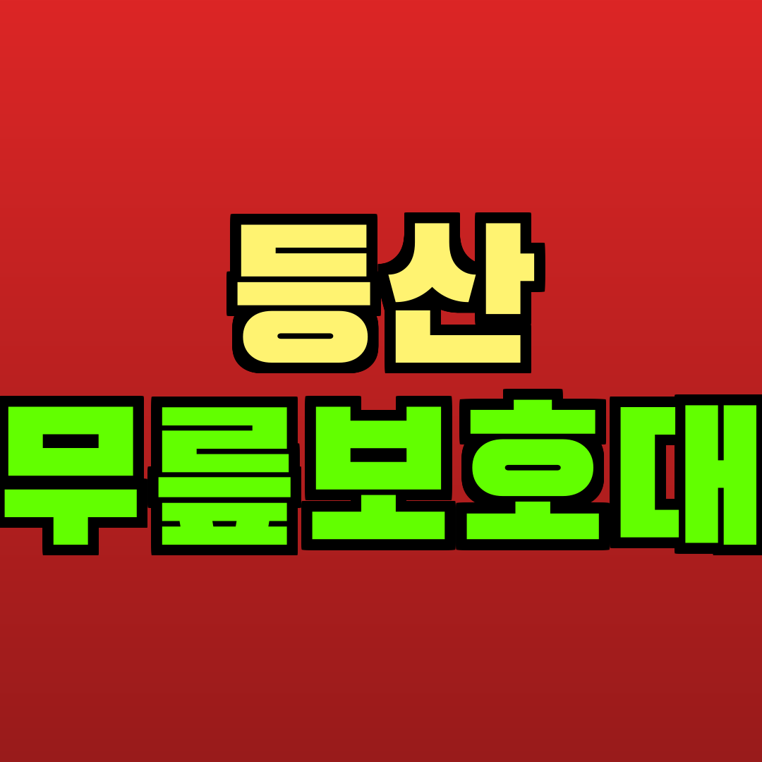 등산 무릎보호대 추천