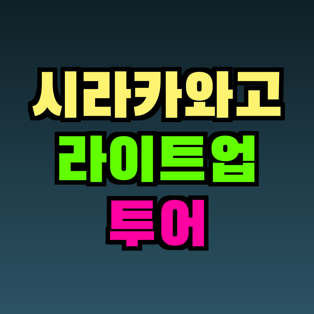 시라카와고 라이트업 투어