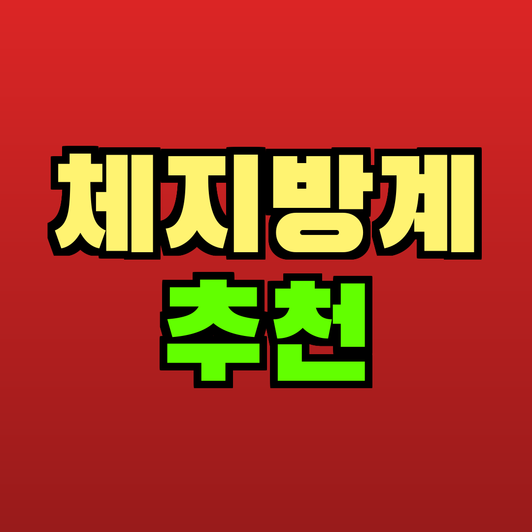 체지방계 추천 추천