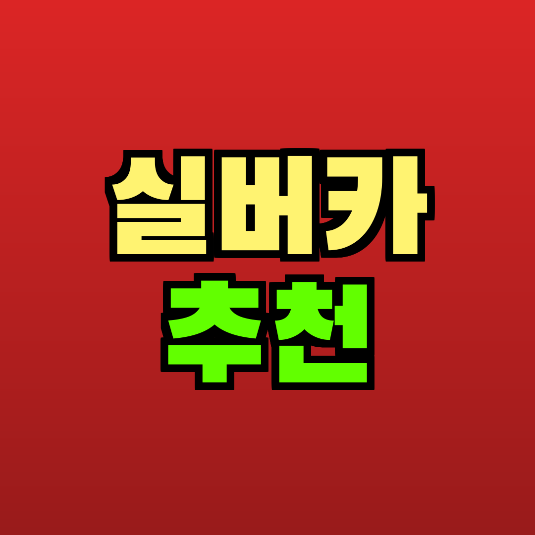 실버카 추천 추천