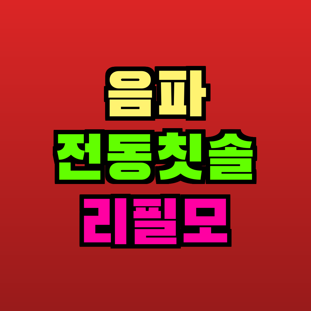 음파 전동칫솔 리필모 추천