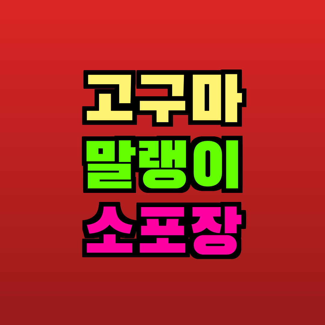 고구마 말랭이 소포장 추천