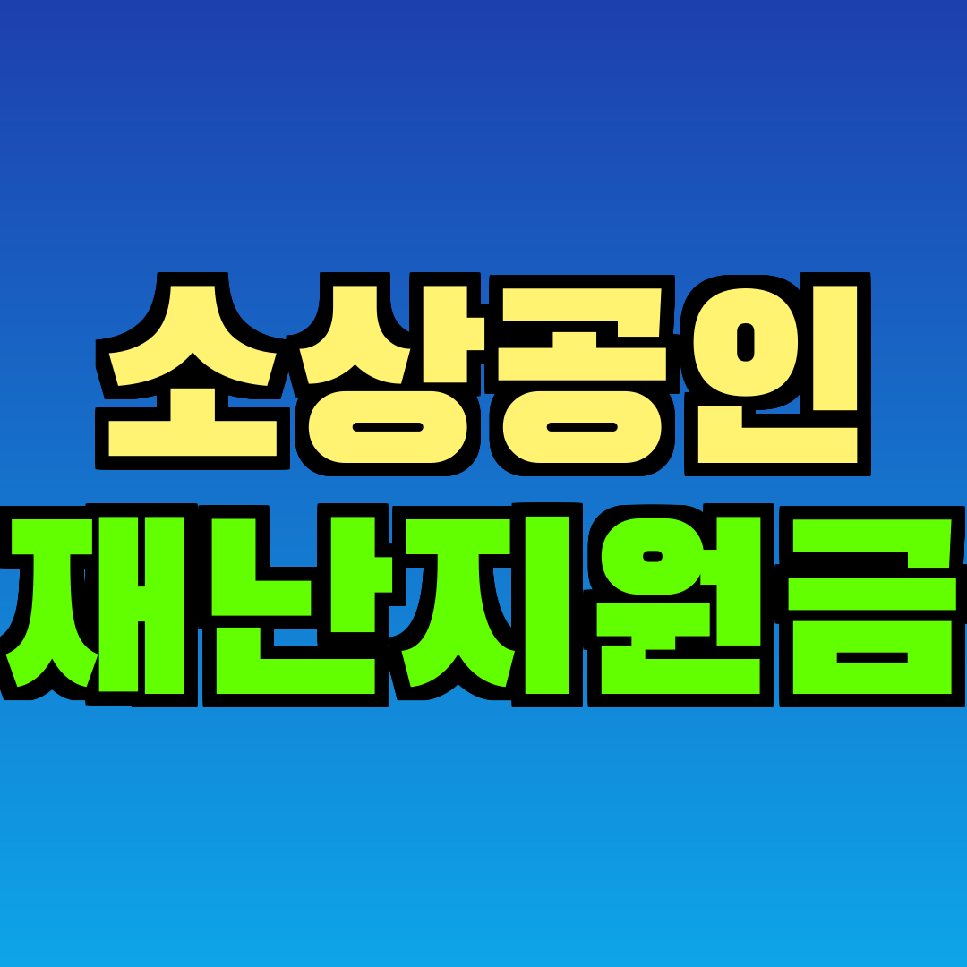 소상공인 재난지원금