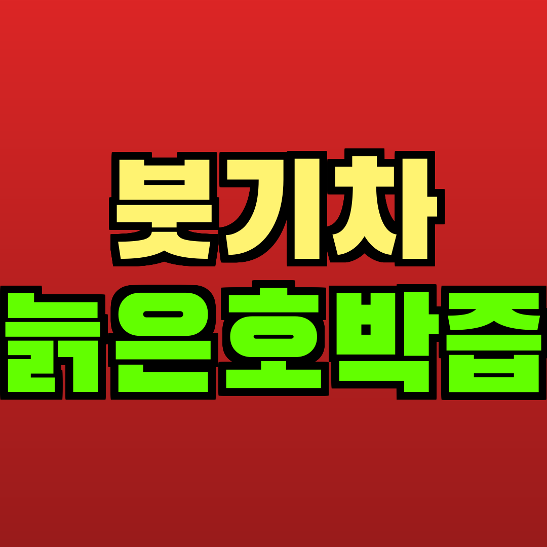 붓기차 늙은호박즙 추천