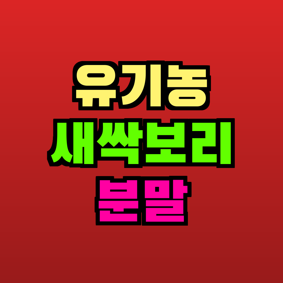 유기농 새싹보리 분말 추천