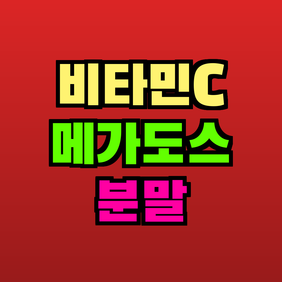 비타민C 메가도스 분말 추천