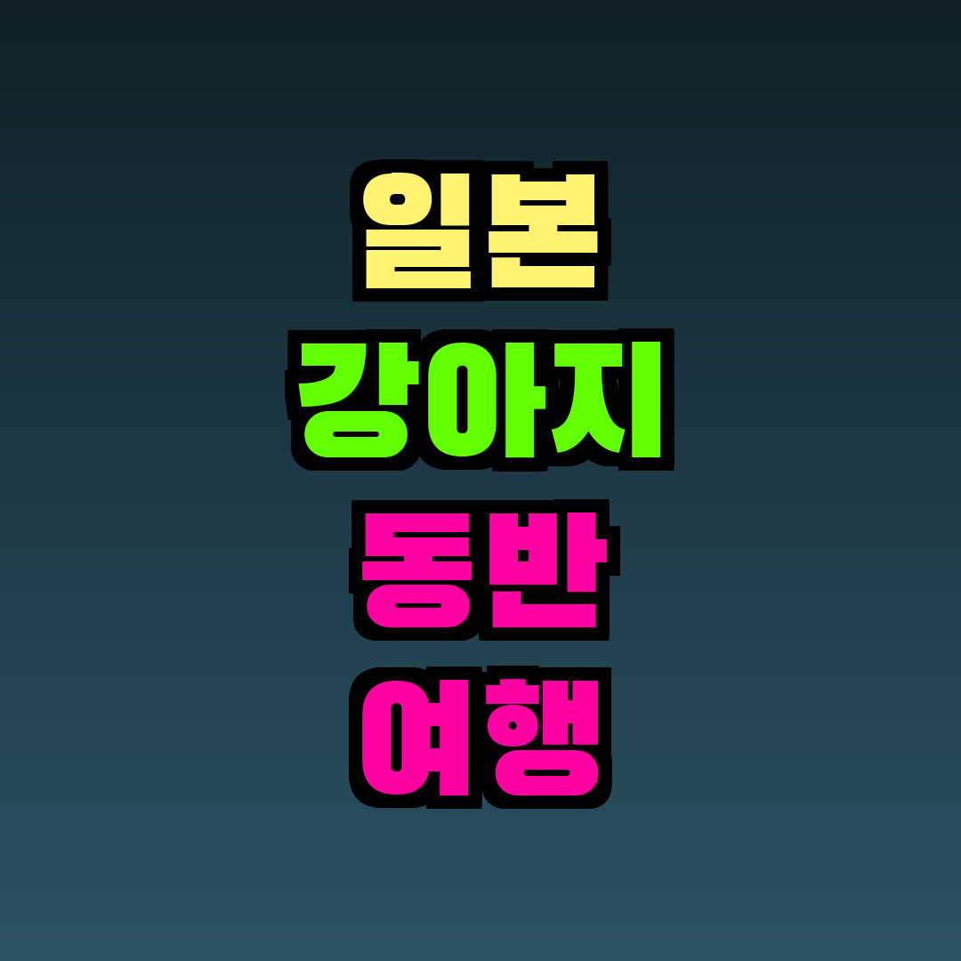 일본 강아지 동반 여행 검역 서류