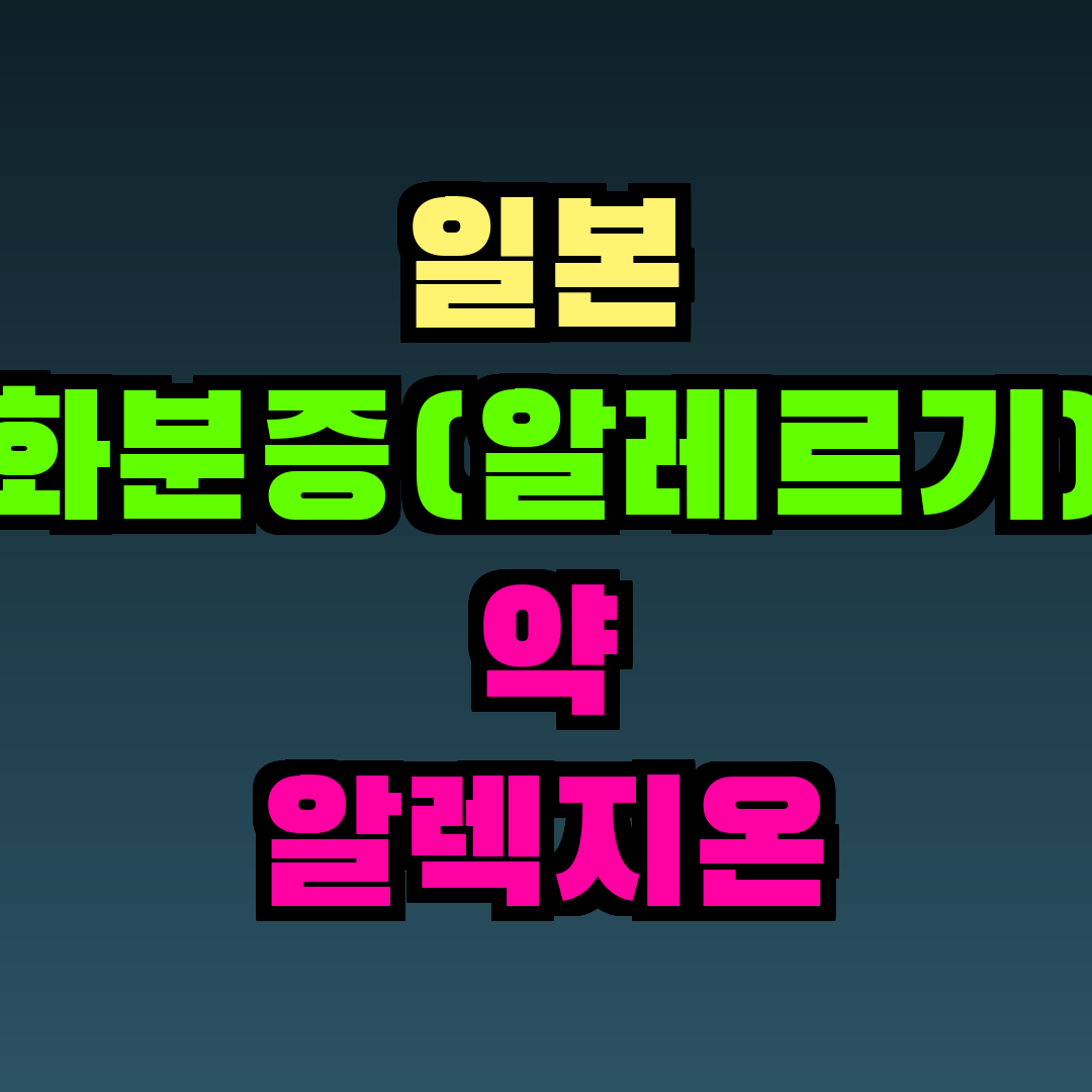 일본 화분증(알레르기) 약 알렉지온