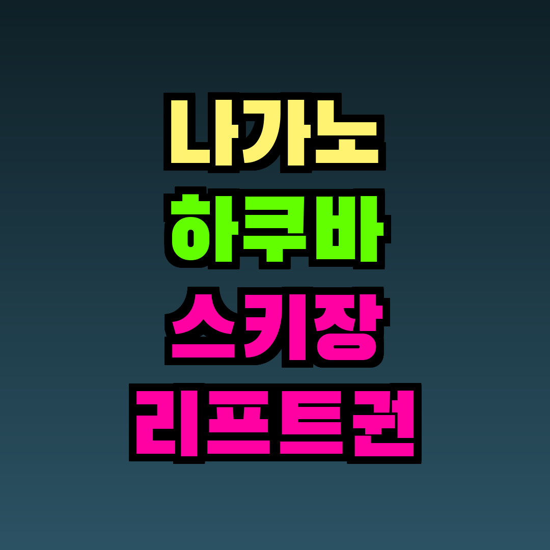 나가노 하쿠바 스키장 리프트권