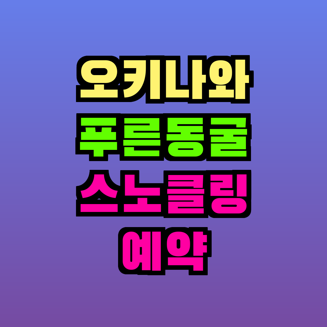 오키나와 푸른동굴 스노클링 예약