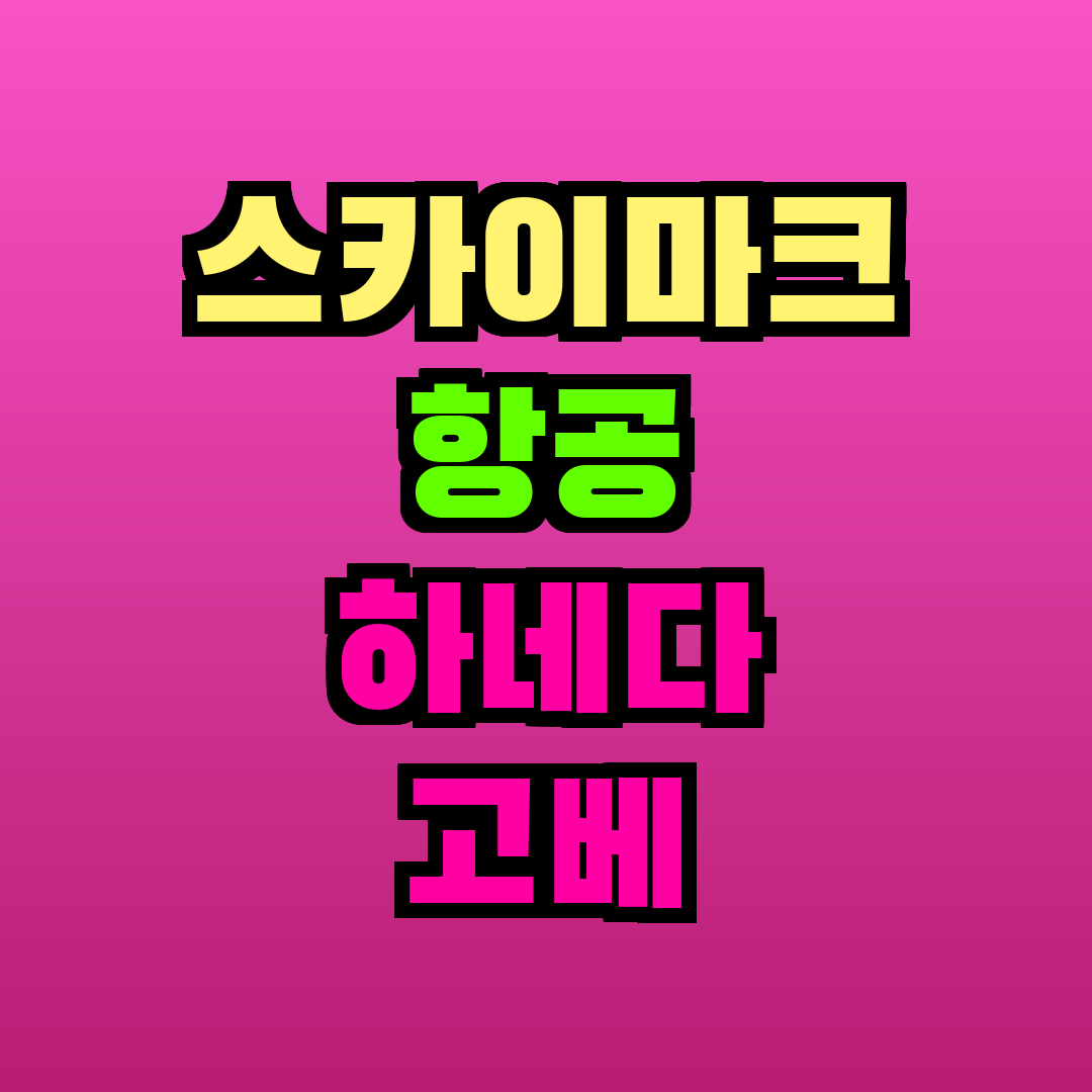 스카이마크 항공 하네다 고베
