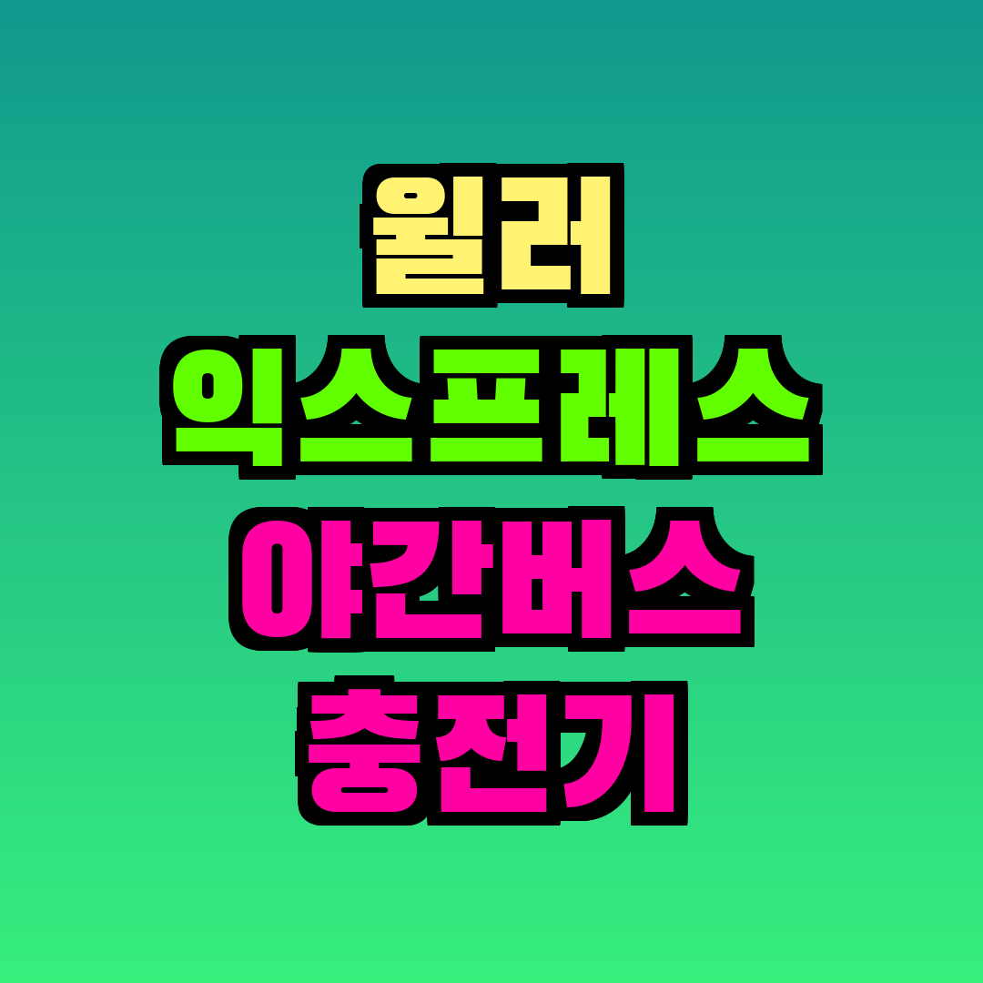 윌러 익스프레스 야간버스 충전기