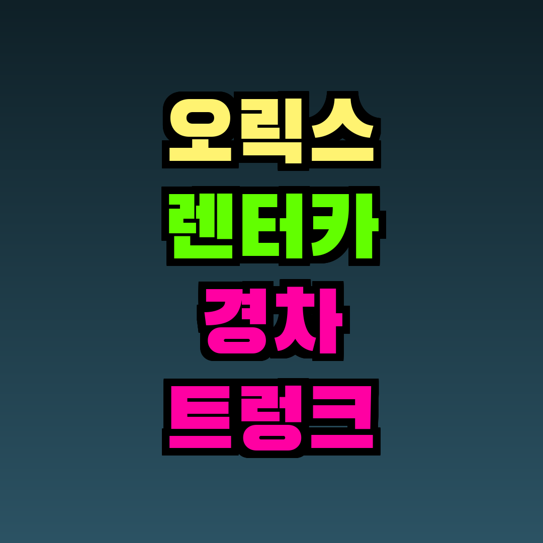 오릭스 렌터카 경차 트렁크
