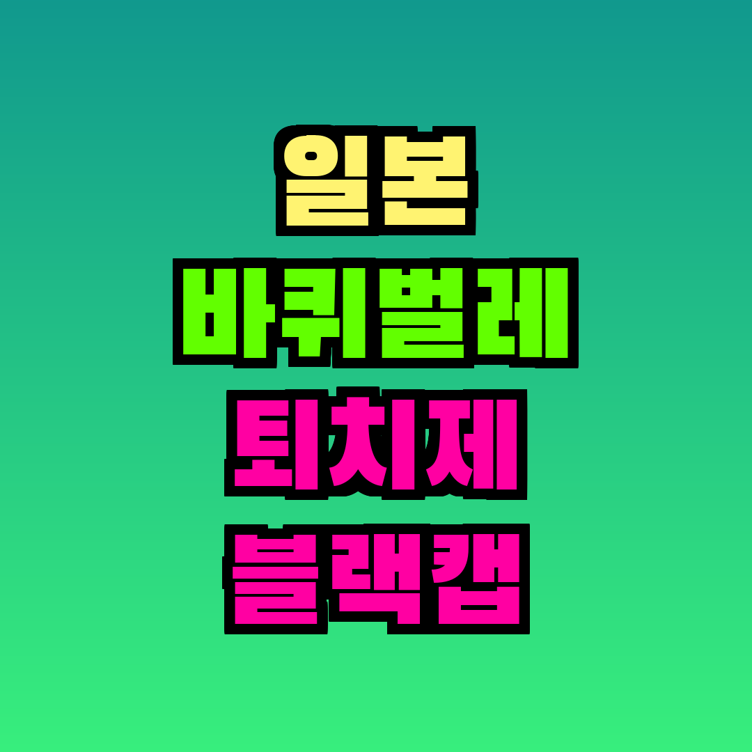일본 바퀴벌레 퇴치제 블랙캡