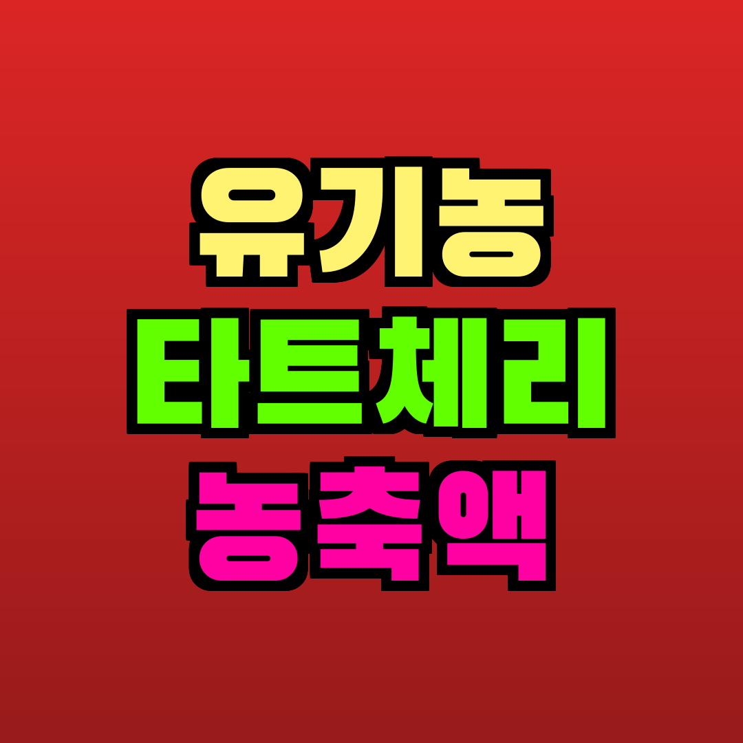 유기농 타트체리 농축액 추천
