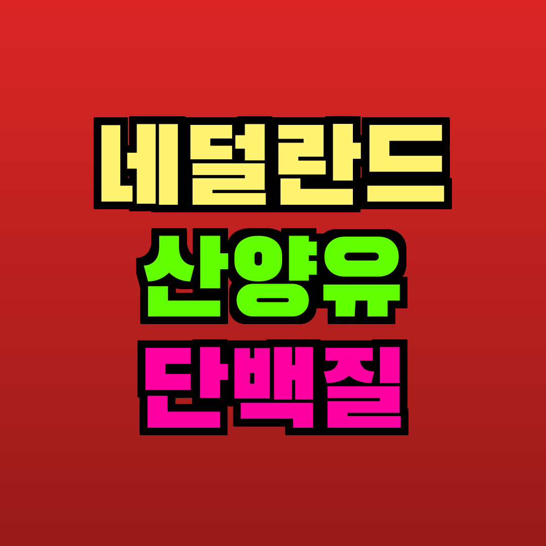 네덜란드 산양유 단백질 추천